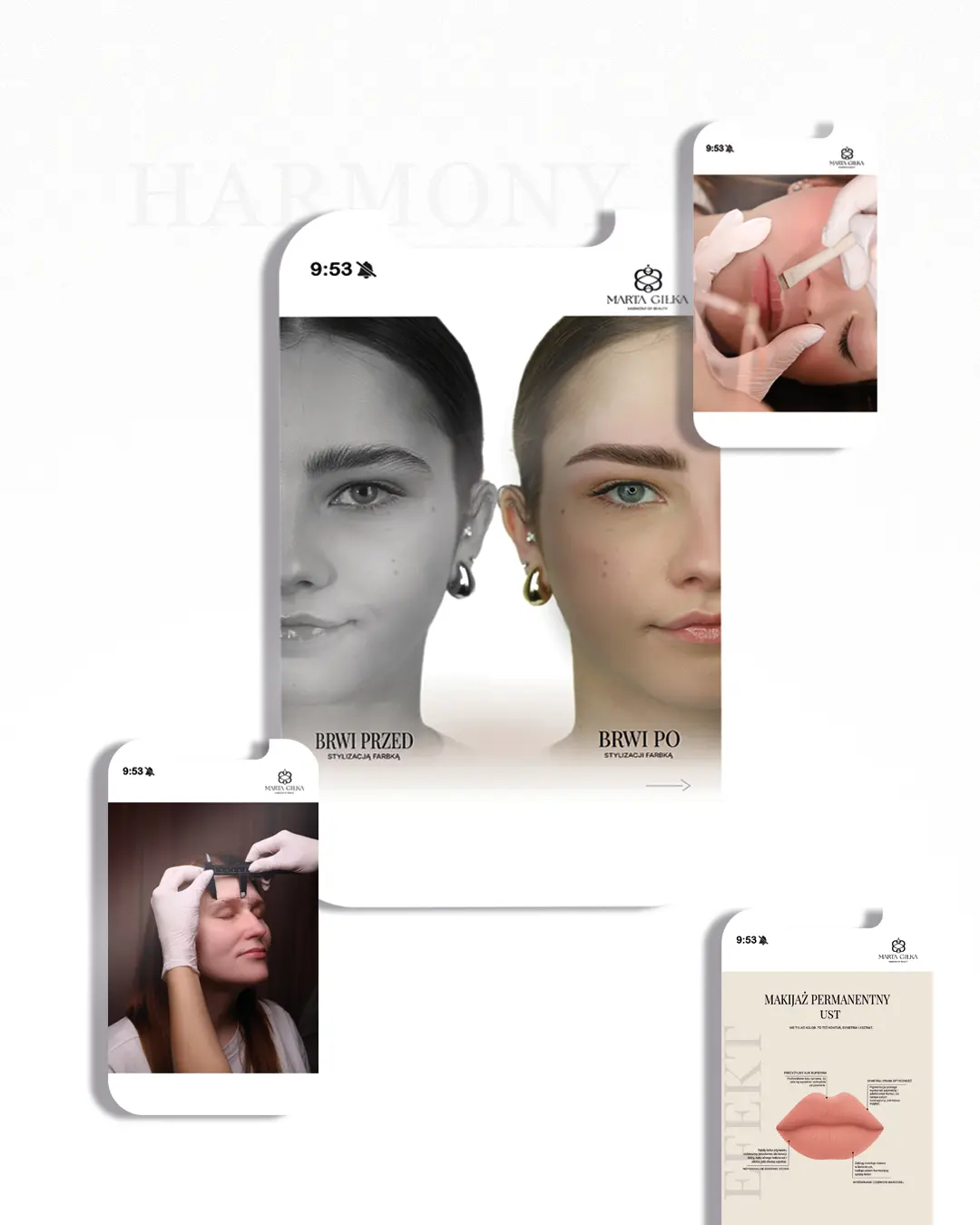 Projekt contentu Harmony of Beauty